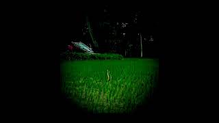 Two snakes are forced👈🐍🤗....Joy Ma Mansha 👈🪷🙏 please subscribe korben👈🙏🥺