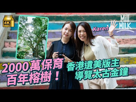 #MM｜跟《香港遺美》攝影師遊太古金鐘 90年代花2,000萬保育百年榕樹 鰂魚涌最Chill公園有坐得嘅藝術品 灣仔星街打卡彩虹梯｜#旅遊止癮 #4K