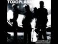Toxoplasma - Stillstand 