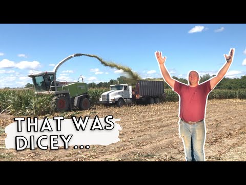 Chopping Corn Silage w/ Claas Chopper 2021 - Things Got DICEY