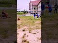 Mc Mboneke Akipiga Na Zerobrainer 0 005 Player Shorts Trending Funny Viral