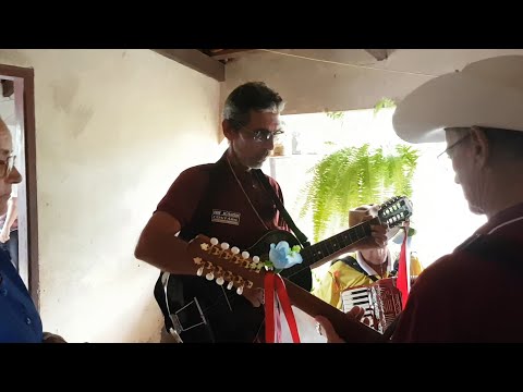 Folia de Santos Reis - Goianésia Goiás - 2025 - 6