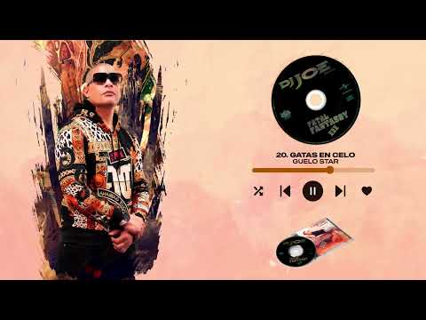 Guelo Star Gatas En Celos - Dj Joe
