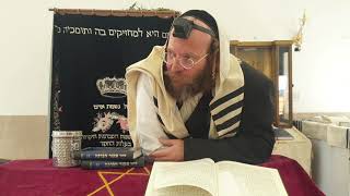 הלכה יומית | המשך דיני ברכות | הרב צבי חלמיש שליט"א