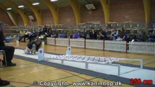 Кроличья олимпиада в Дании 2010