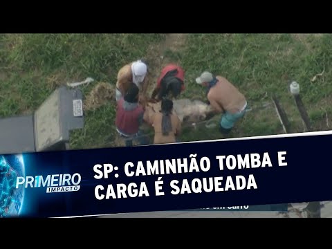 Carne é saqueada de carreta tombada em São Paulo