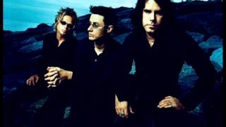 THE TEA PARTY- Brazill