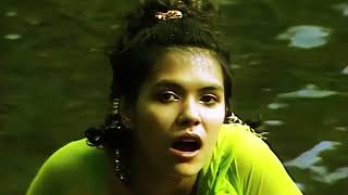 Bow Wow Wow - Chihuahua