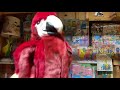 Poco Loco Sings Island Of Emotion