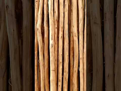 10 Feet Wooden Poles For Construction Use