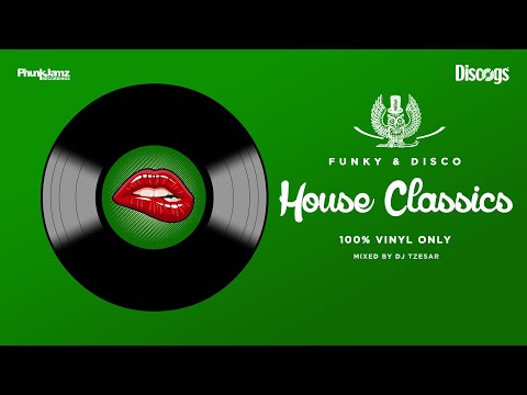 Vinyl House Classics Mix - DJ TZESAR 🌟 Disco & Funky house 🌟