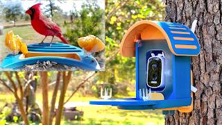 🐦 Video Camera Bird Feeder by Vinguys. Amazing Footage!
