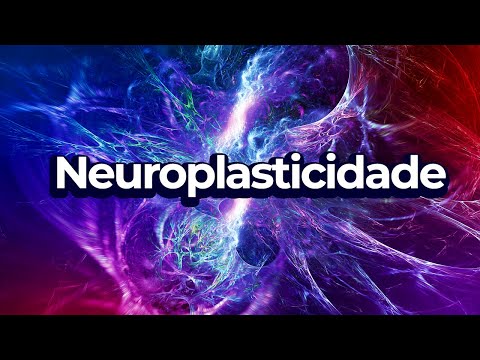 NEUROPLASTICIDADE: Tudo que você precisa saber!