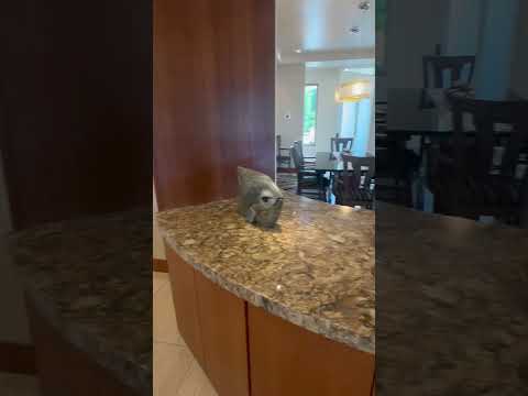 4699 W Mill River Ct