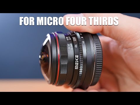 Video thumbnail for Video Review 2