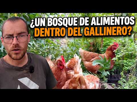 This CHICKEN COOP combines EGG production with FRUITS and VEGETABLES.