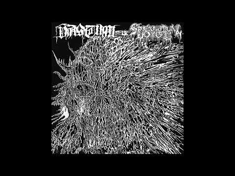 Vastum / Spectral Voice (Full Split-EP) (2018)