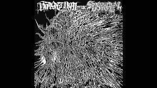 Vastum / Spectral Voice (Full Split-EP) (2018)