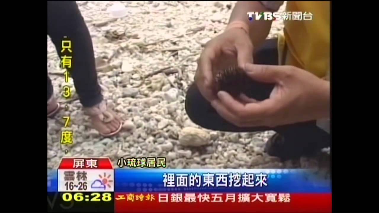 小琉球潮間帶夯 導覽限300人!業者怨