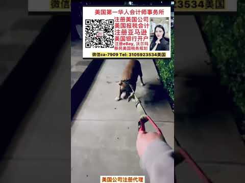 洛杉矶会计师报税注册公司 微信ca-7909 分公司和子公司有什么区别？Tel:3105923534 美国第一华人会计师事务所
