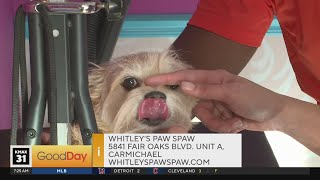 Ryan is at the Paw Spaw