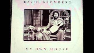David Bromberg - To Know Her is to Love Her