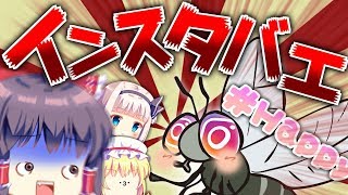 【ゆっくりホラー実況】もんのすごくカオスなゆっくり達が再び悪夢に殴り込みにいくらしいです Part37