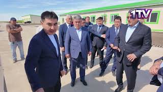 Видео