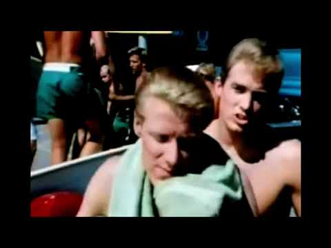 NEW * Surf City - Jan & Dean {Stereo}