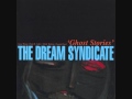 dream syndicate   whatever you please 0001
