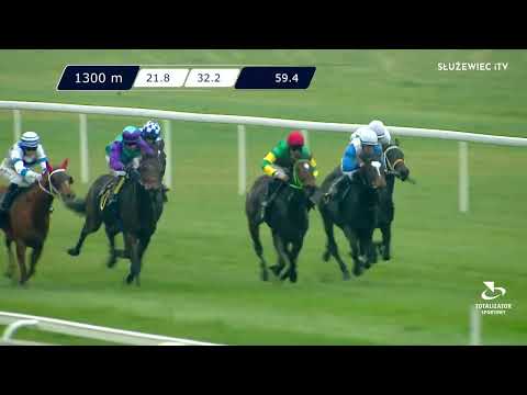 12.11.2022 - (Dzień 45; Gonitwa 3)