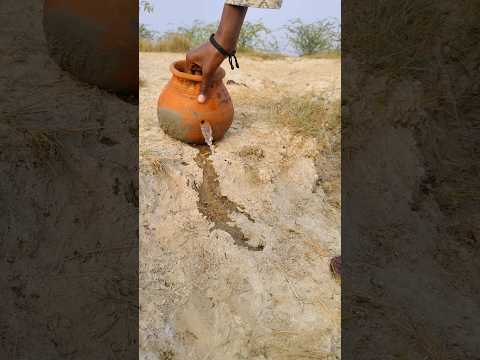 Jungle survival bucket 😅