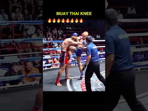 Muay Thai knee kick #muaythai #mma #martialarts #kickboxing