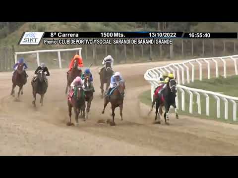 CARRERAS SINT FLORIDA 221013 c08 - 1° ROYAL TRICK (BRZ)