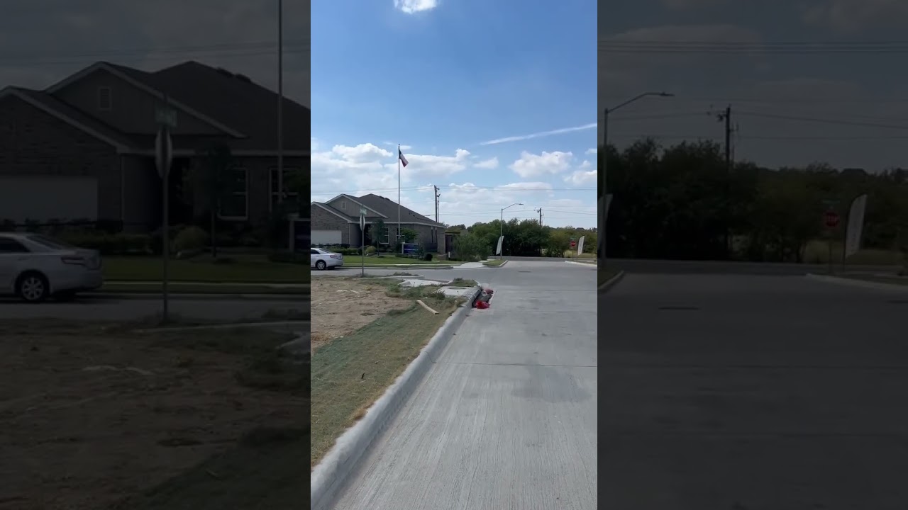 These Desperate Pups video