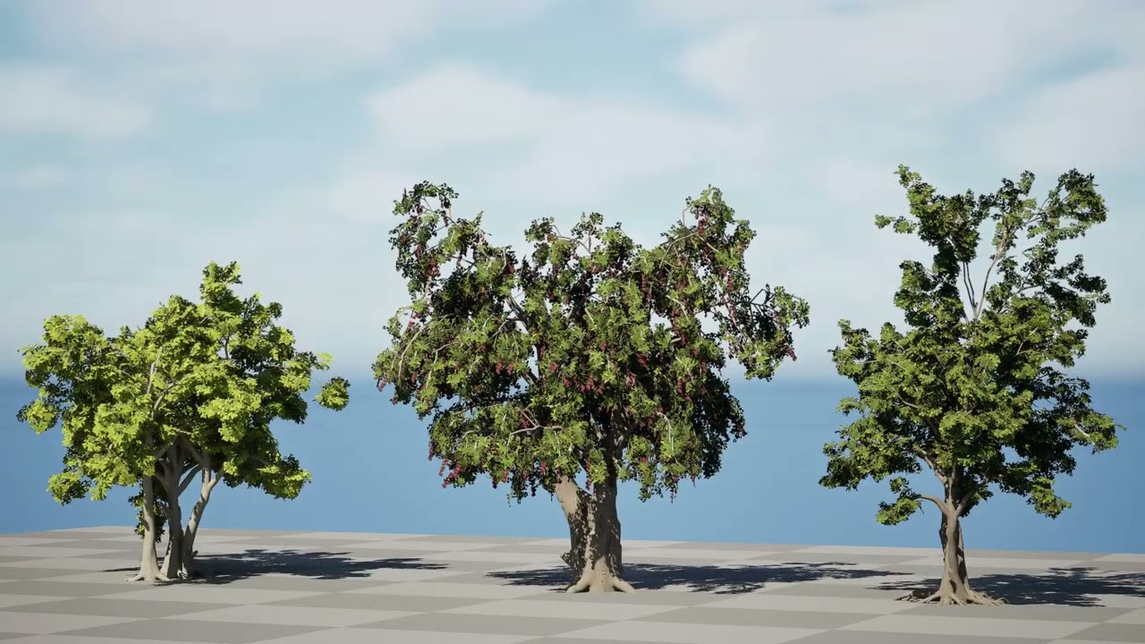 Arabian Toothbrush Tree 3D Model