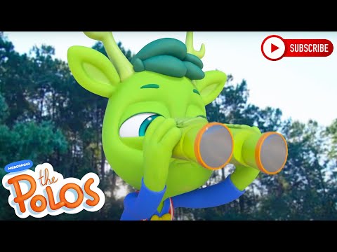 Black Bear Surprise | Adventure Learning | MarcoPolo World School | Learn At Home - Kingdom Kids Zone, Little Learners - The Polos and MarcoPolo Learning