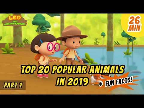 Witness21 Editor  2020 05 08