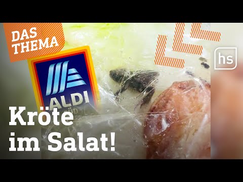 Im Aldi-Salat findet 23-Jähriger eine Kröte – und reanimiert sie I hessenschau
