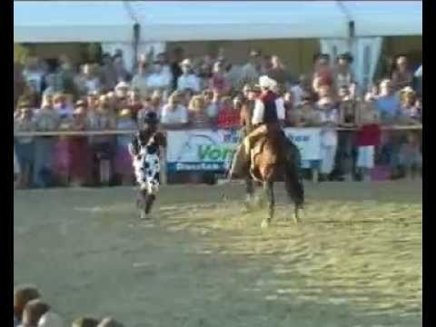 EQUITANA Open Air - Festival des Pferdesports