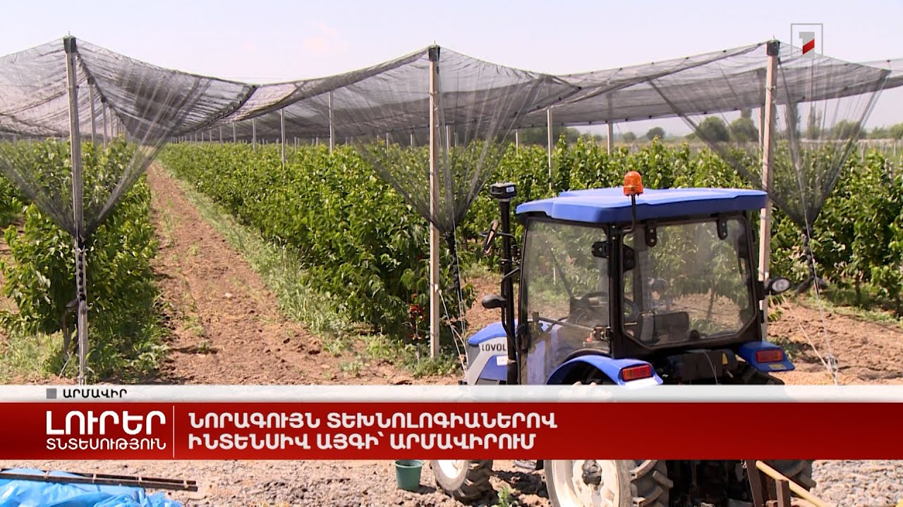 Նորագույն տեխնոլոգիաներով ինտենսիվ այգի՝ Արմավիրում