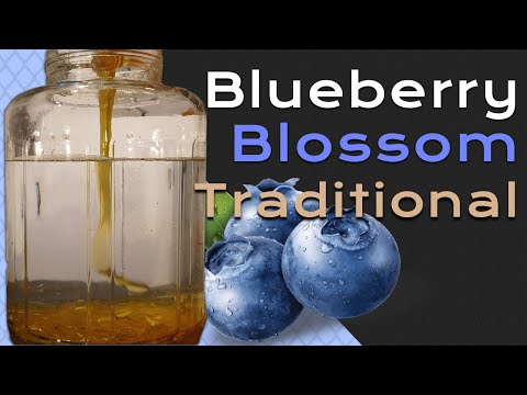 Blueberry Blossom Traditional Mead (Traditional Mead Tutorial)