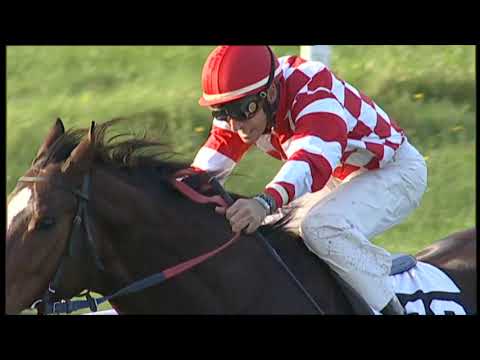 2019-11-17 Corsa 4 Metri 1500 Premio Salvator Rosa