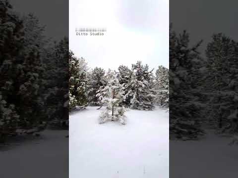 Izzamuzzic. Troshin - Raindrop | Mood video