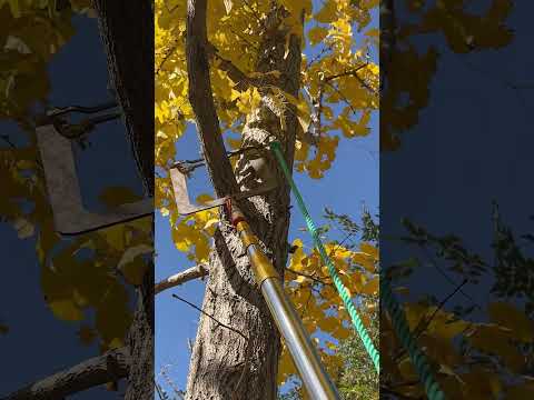 OMG Genius!! This DIY Tool Hangs Ropes Way Up High!