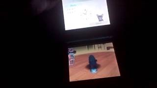Vidéo Nintendogs Chihuahua & ses amis