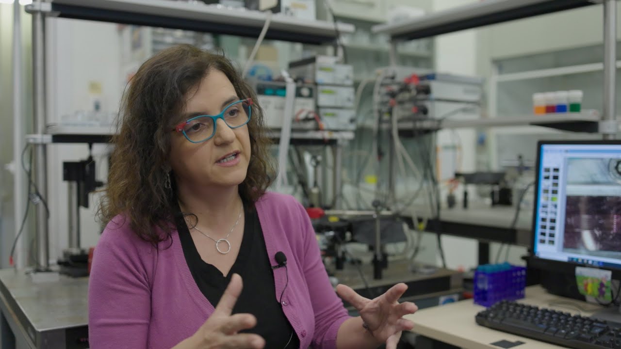 Descripción del Video