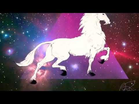 Unicorns!! 🦄🦄🦄🦄🦄🦄🦄🦄🦄🦄🦄