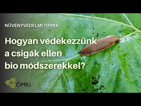 Ízületi hidrokortizon kezelés