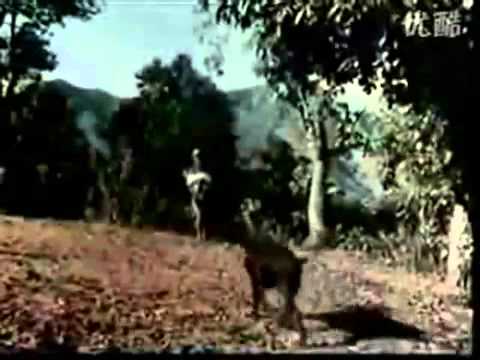 banma fulyo - original video from sindur nepali movie